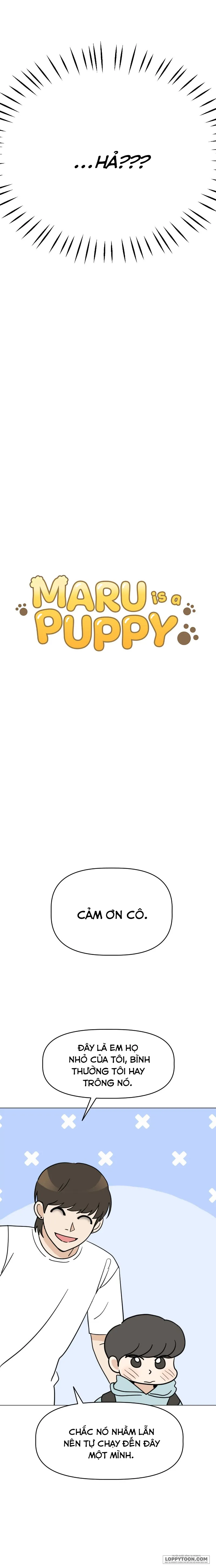 Maru là cún cưng của tôi Chap 4 - trang 2
