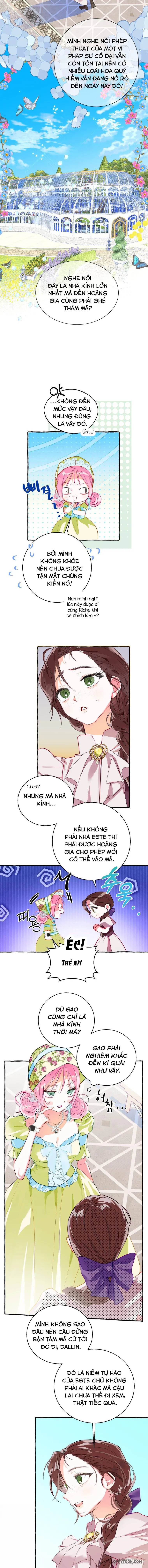 Bạn Sẽ Chết Nếu Không Biết Luật Tiểu Thuyết Chap 3 - trang 5