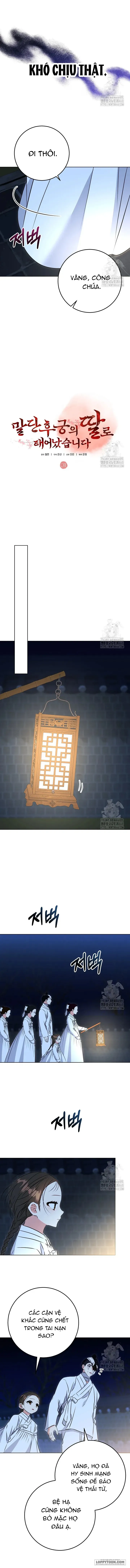 Tôi Sinh Ra Là Con Gái Của Một Cung Phi Hèn Mọn Chap 31 - trang 7