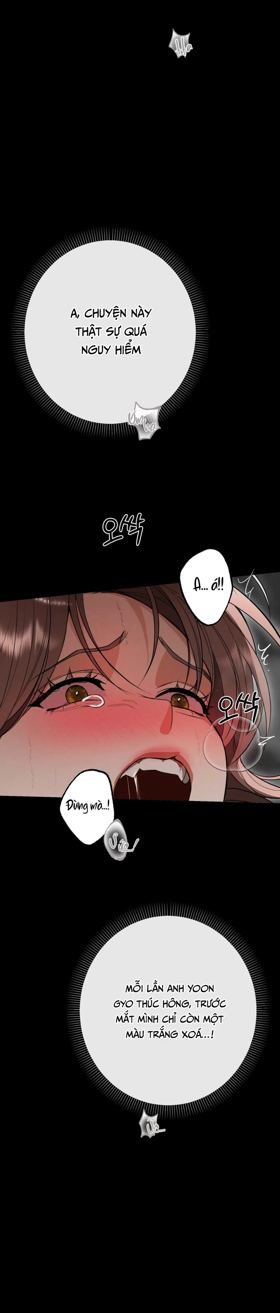 Ngưỡng Tuyệt Đối Chap 78 - trang 11
