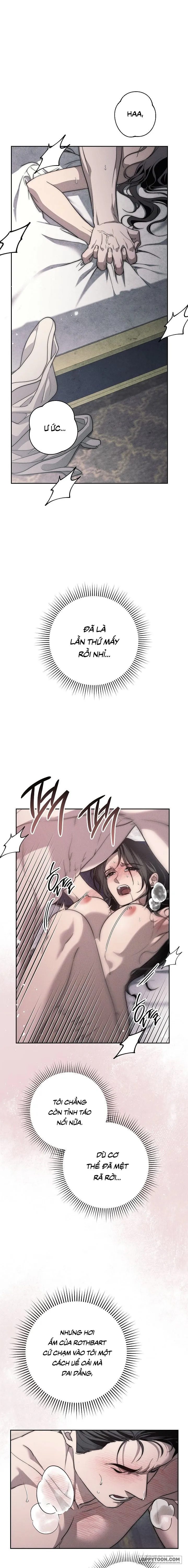 Mộ Thiên Nga Chap 27 - 🔞🔞🔞 - trang 3
