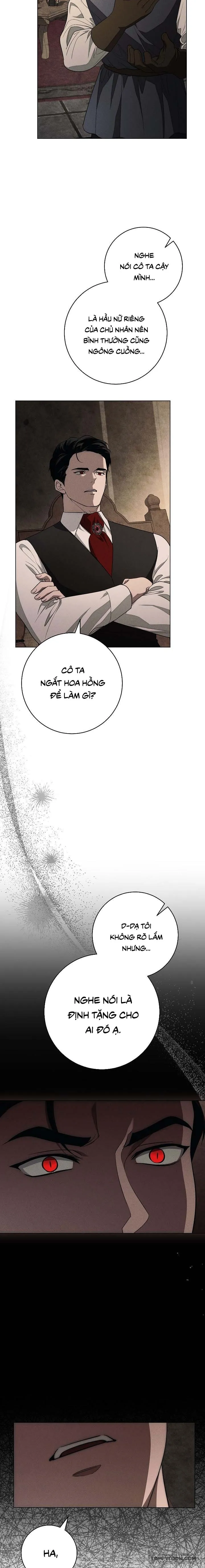 Mộ Thiên Nga Chap 23 - trang 12