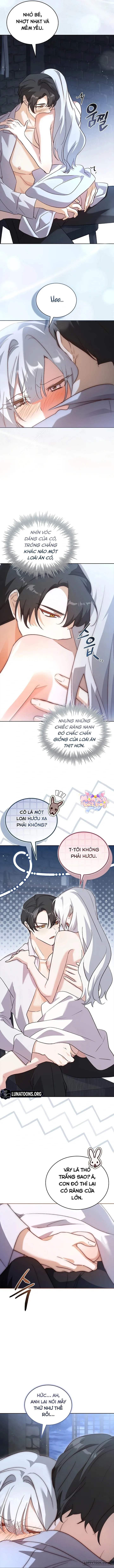 Tôi Đang Tìm Con Sói Đã Trêu Đùa Con Rắn Đen Chap 5 - trang 11