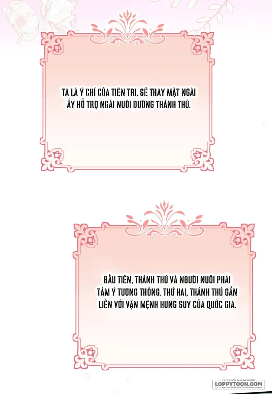Nàng Sẽ Thuần Phục Những Anh Hùng Chap 2 - trang 21