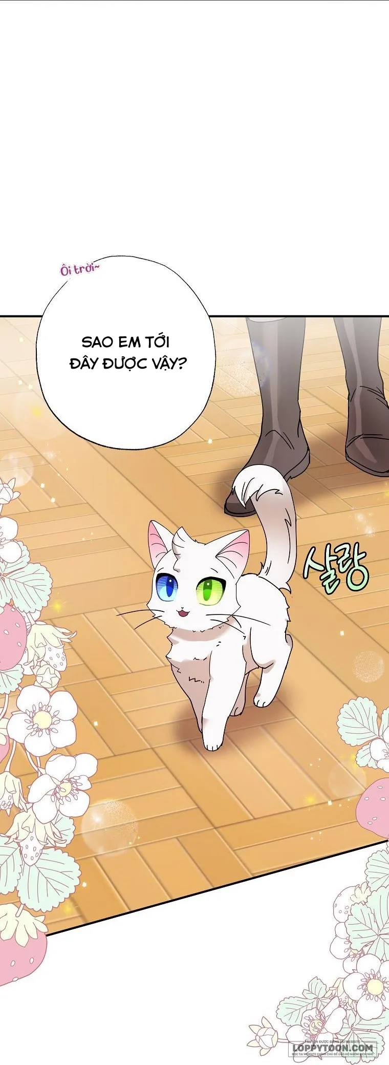 Trở Thành Miêu Nữ Của Hoàng Đế Chap 7 - trang 9