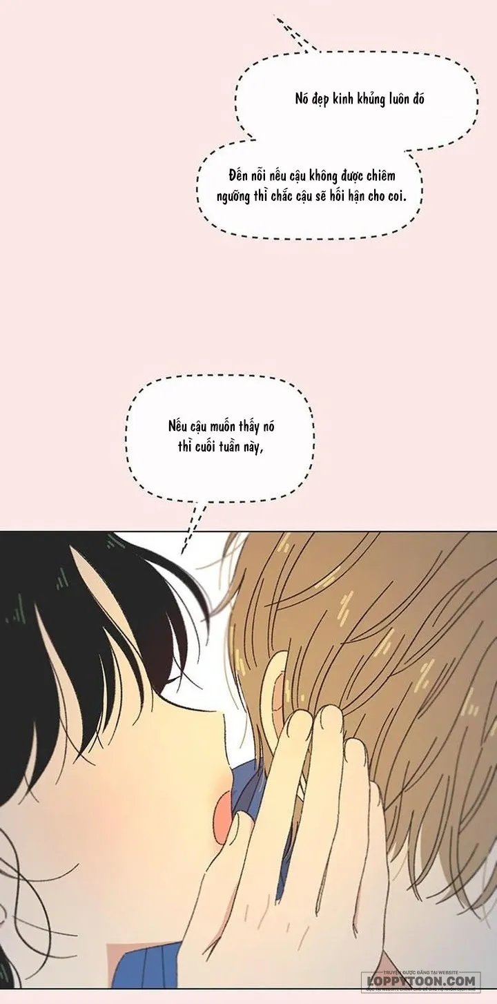 Thanh Xuân Ngọt Ngào Chap 57 - trang 43