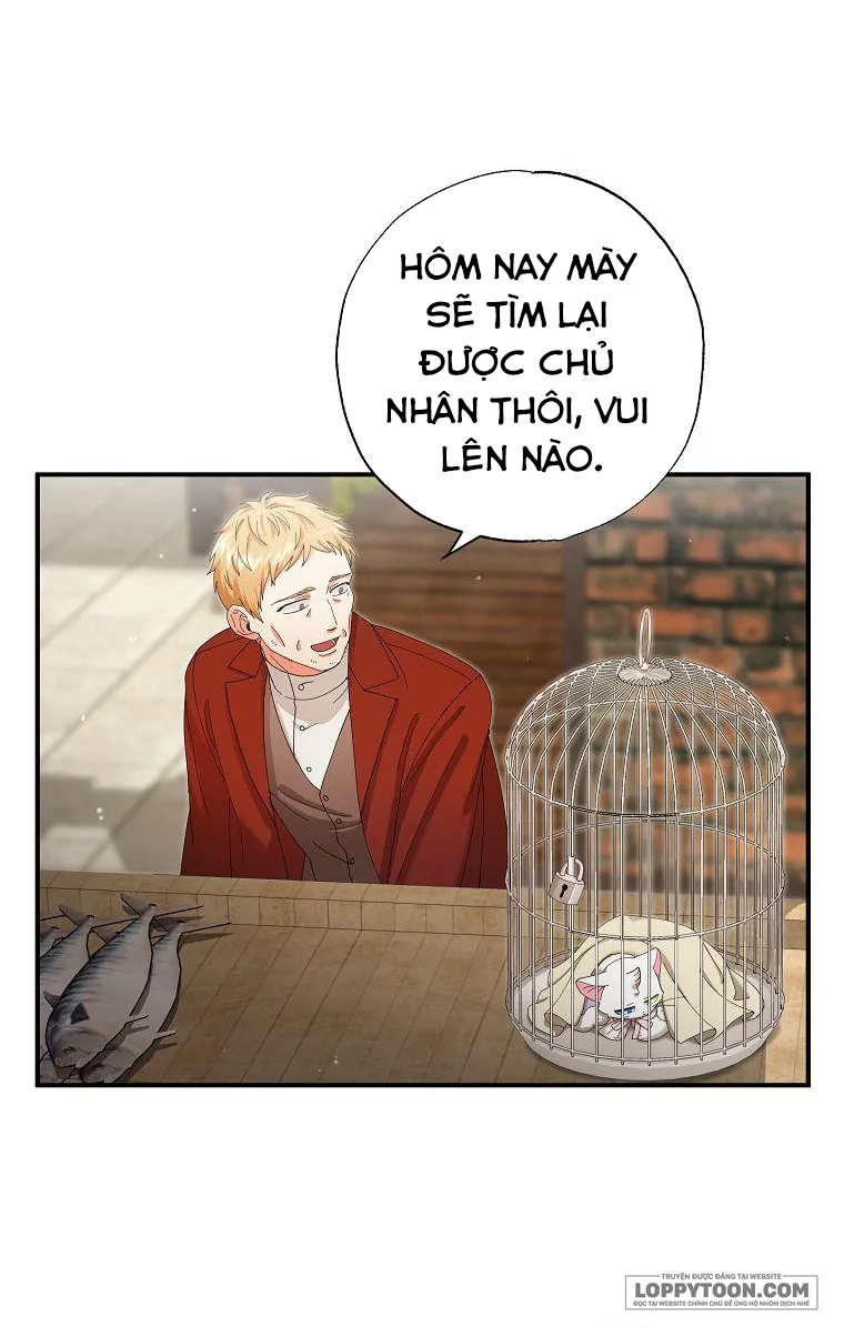 Trở Thành Miêu Nữ Của Hoàng Đế Chap 15 - trang 35