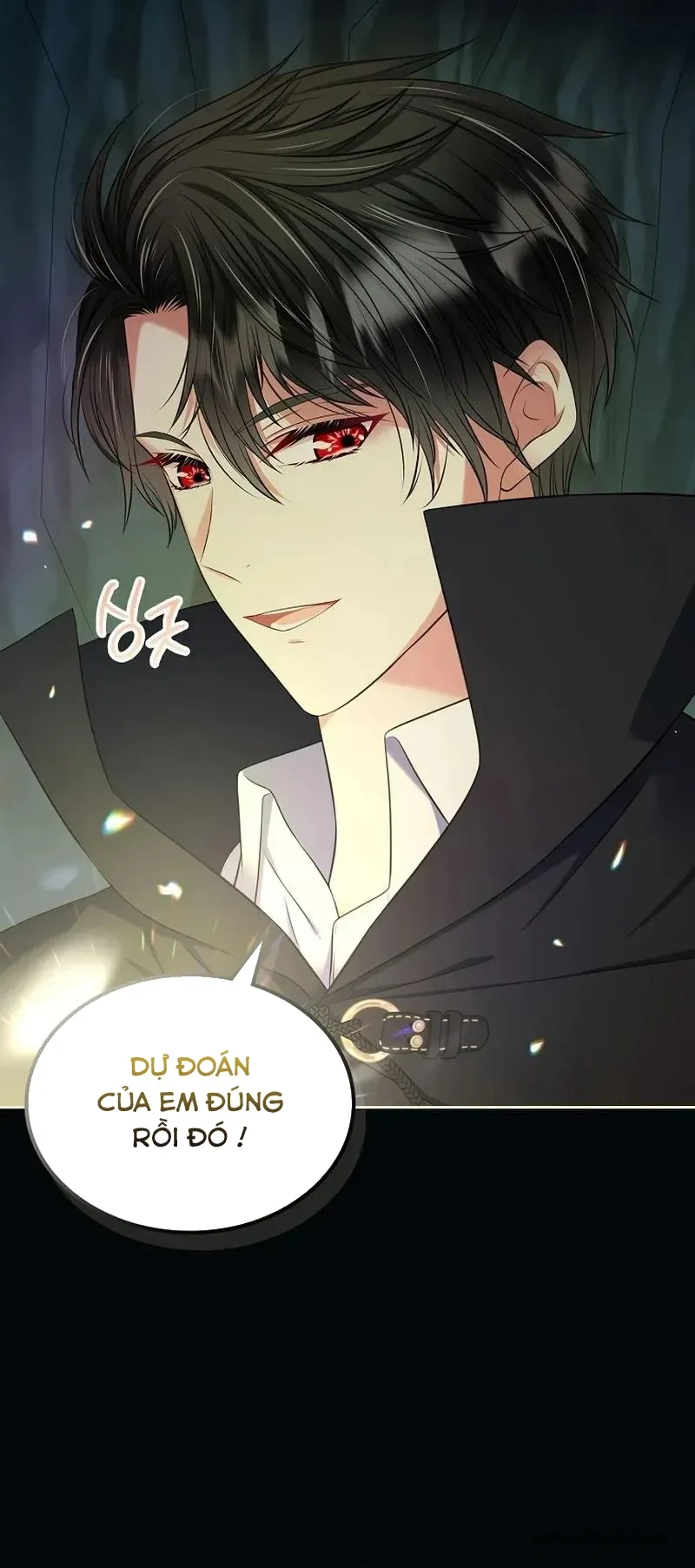 Tôi Sẽ Ly Hôn Với Anh Trai Nữ Chính Chap 72 - trang 48