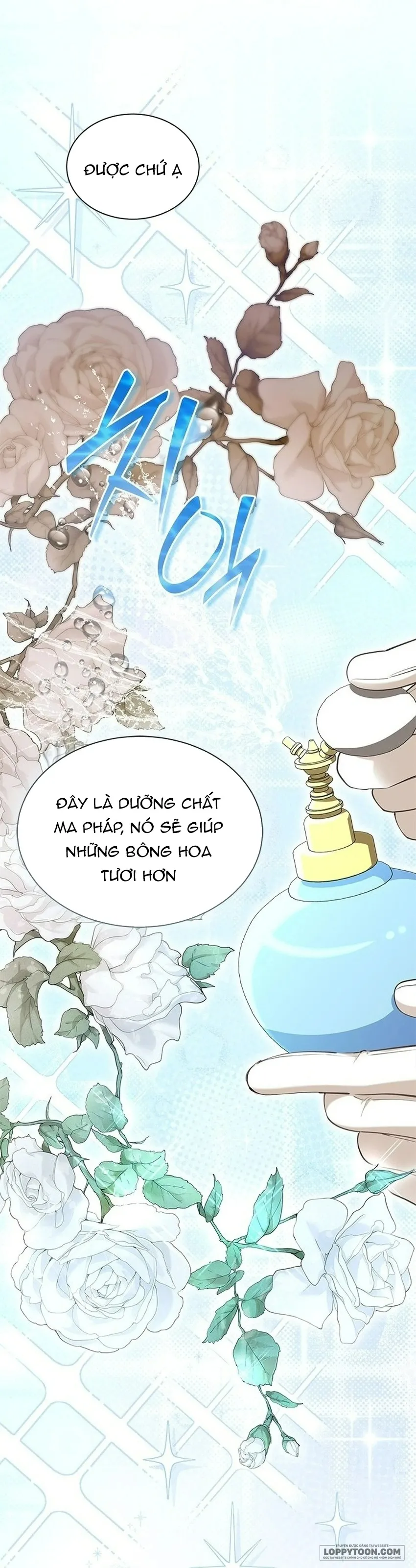 Đã Từ Chối Sủng Ái Rồi Mà Sao Còn Ám Ảnh Thế? Chap 87 - trang 33