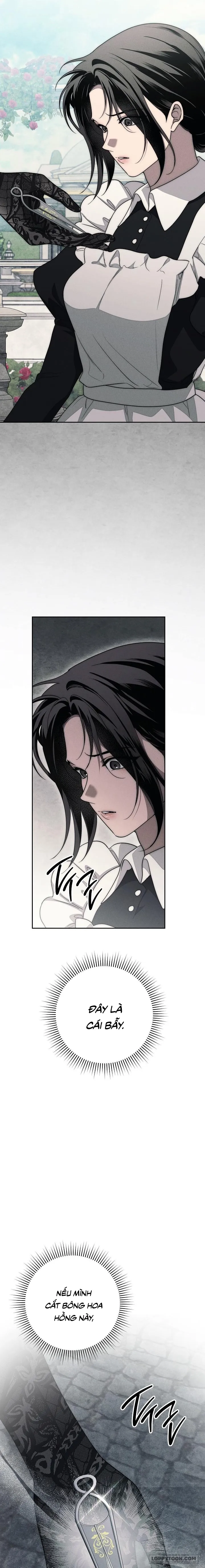 Mộ Thiên Nga Chap 22 - trang 20