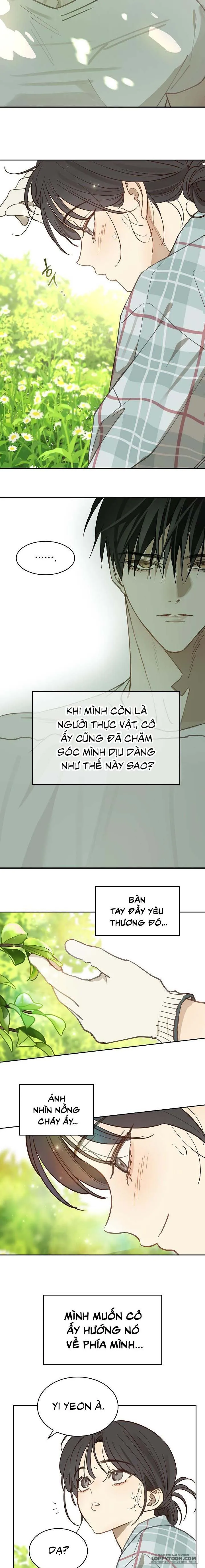 Đóa Hoa Là Mồi Nhử Chap 18 - trang 12