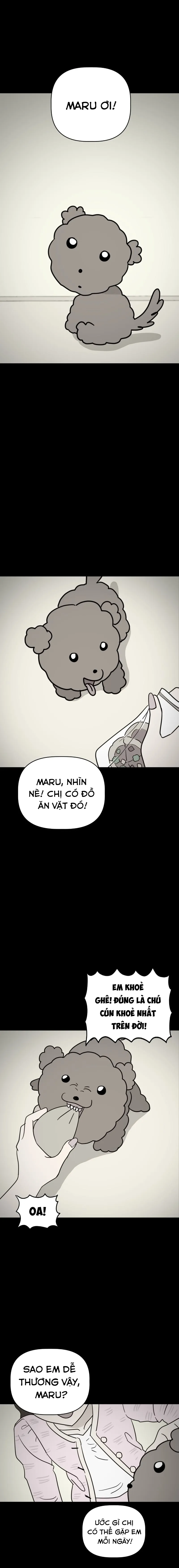 Maru là cún cưng của tôi Chap 14 - trang 1