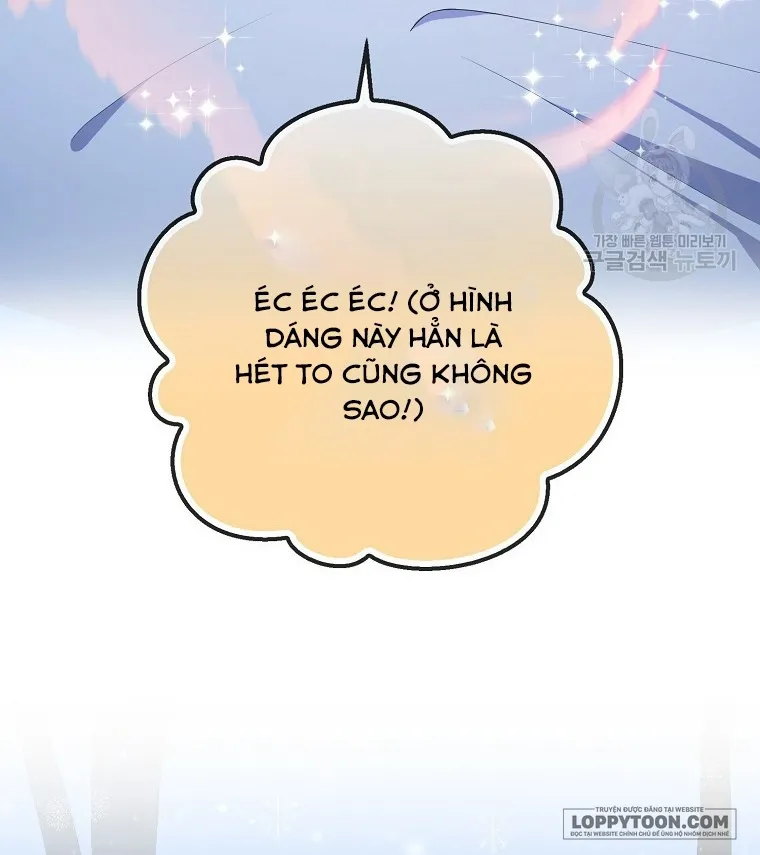 Sóc Con Tài Năng Chap 61 - trang 42