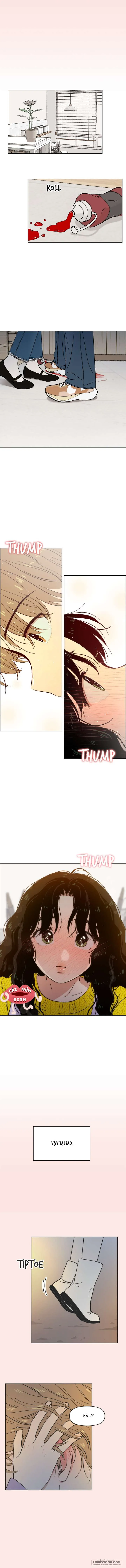 Thanh Xuân Ngọt Ngào Chap 26 - trang 2