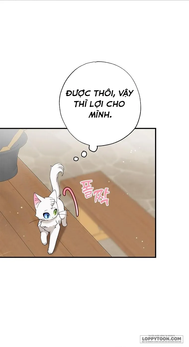 Trở Thành Miêu Nữ Của Hoàng Đế Chap 8 - trang 49