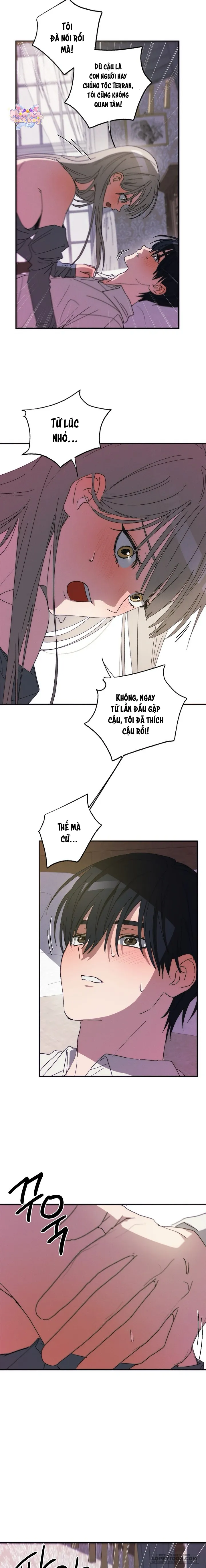 Lời Tuyên Thệ Của Loài Sói Chap 5 - H+ - trang 13