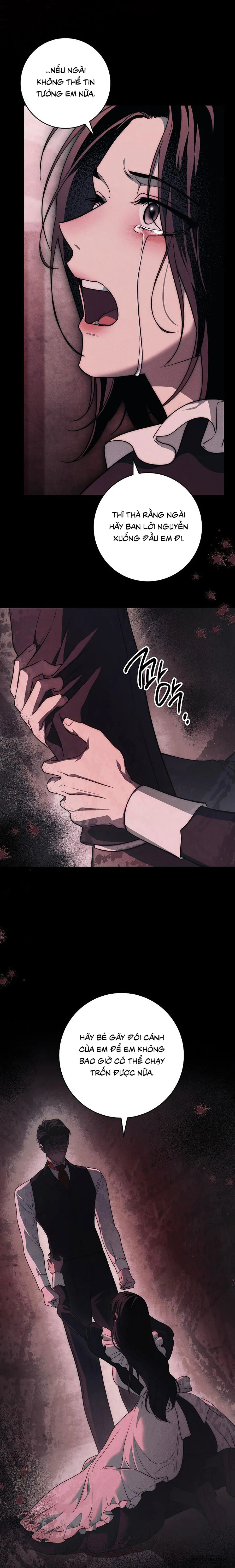 Mộ Thiên Nga Chap 47 - trang 37