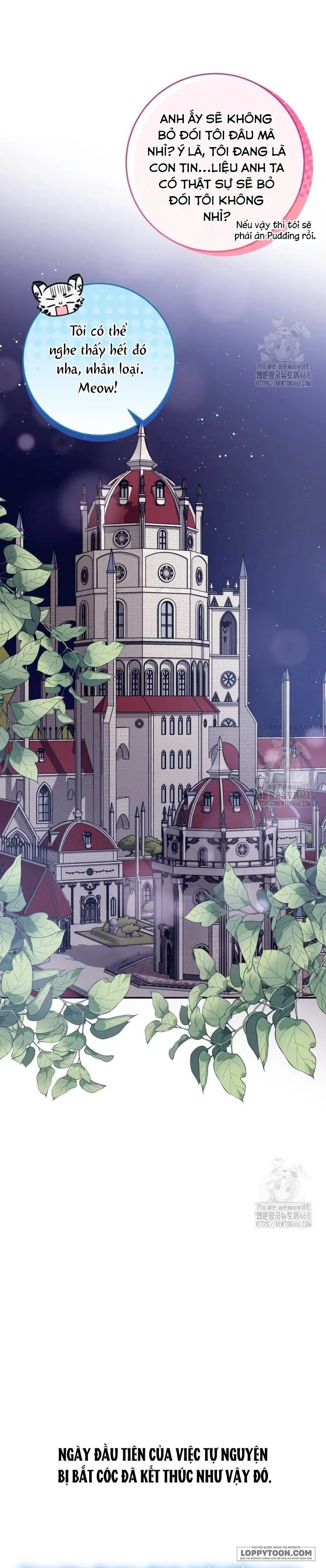 Tôi Gặp Nam Chính Trong Tù Chap 63 - trang 15
