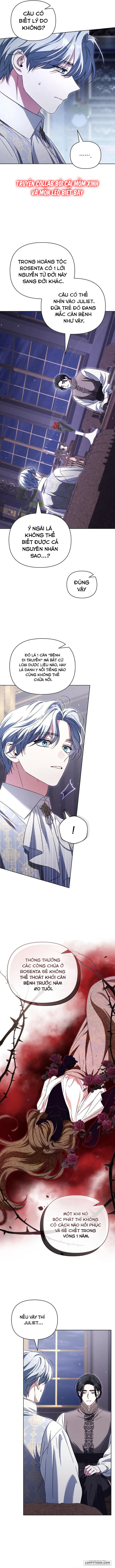 Dành Cho Nàng Juliet Xinh Đẹp Chap 9 - trang 10