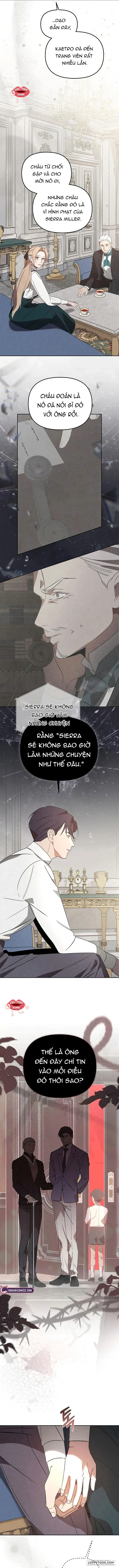 Nơi Đóa Hồng Vàng Úa Tàn Chap 29 - trang 8