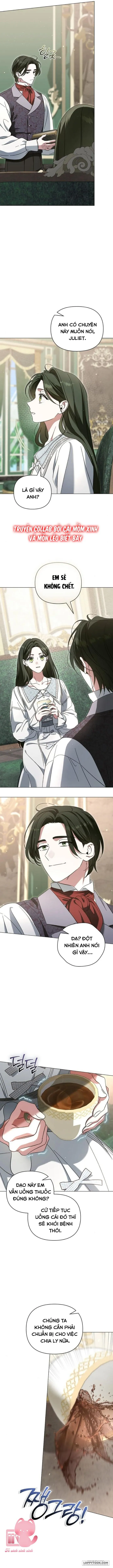 Dành Cho Nàng Juliet Xinh Đẹp Chap 12 - trang 10