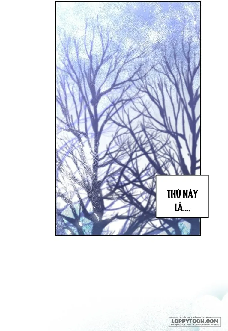 Sóc Con Tài Năng Chap 13 - trang 28