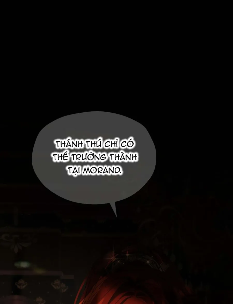 Nàng Sẽ Thuần Phục Những Anh Hùng Chap 16 - trang 16