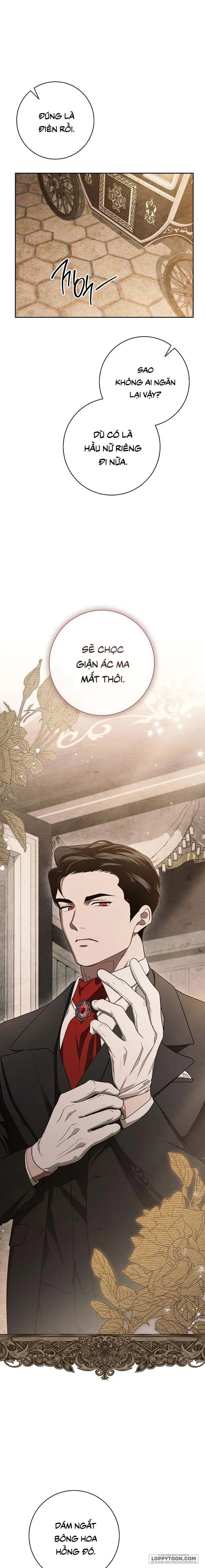 Mộ Thiên Nga Chap 23 - trang 8