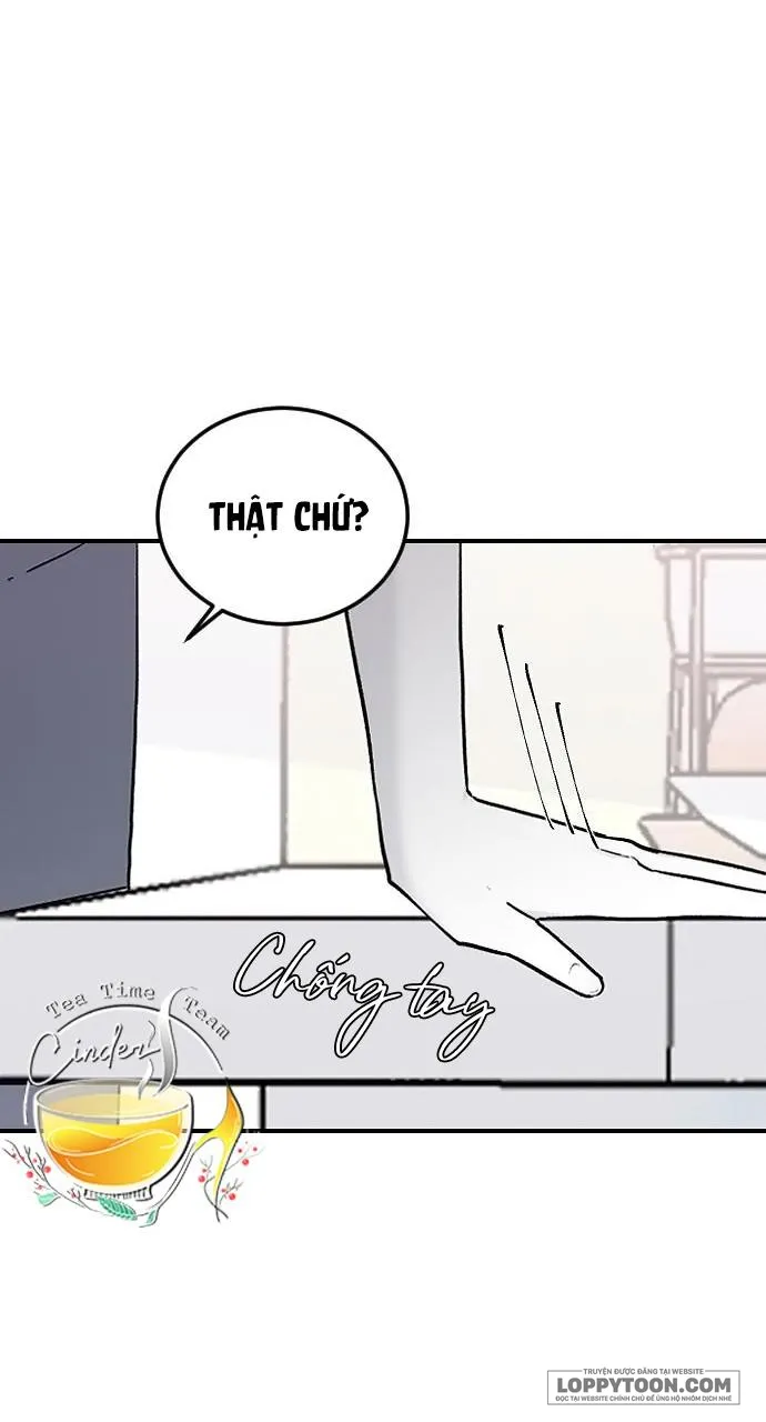 Ba Anh Trai Cực Phẩm Của Tôi Chap 15 - trang 19