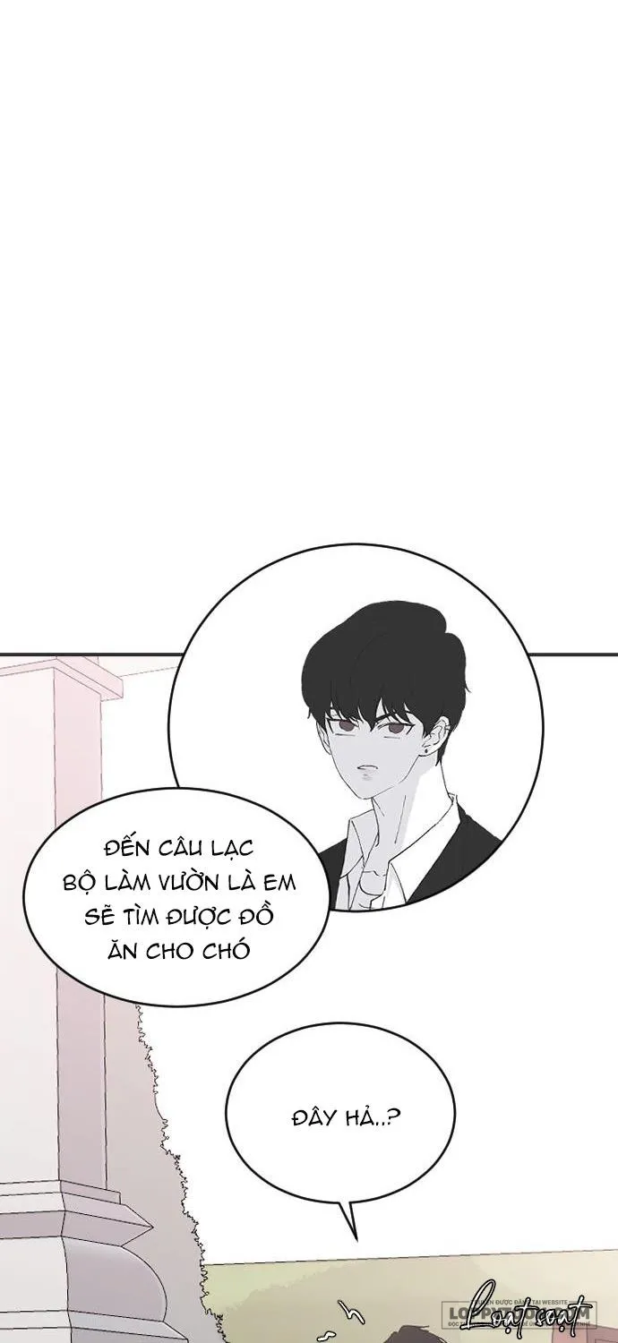 Ba Anh Trai Cực Phẩm Của Tôi Chap 24 - trang 49