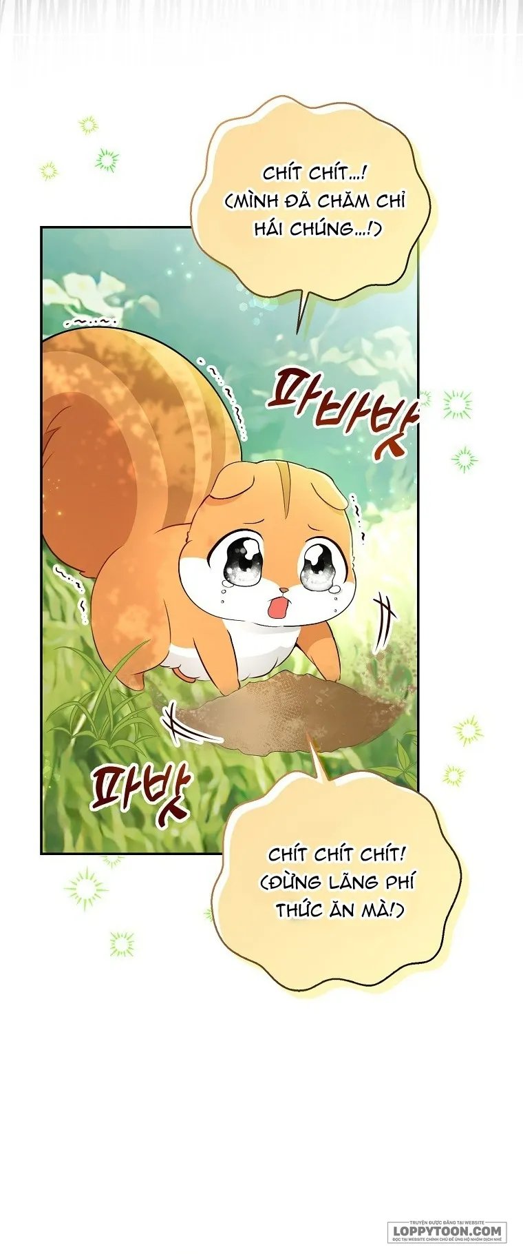 Sóc Con Tài Năng Chap 29 - trang 40