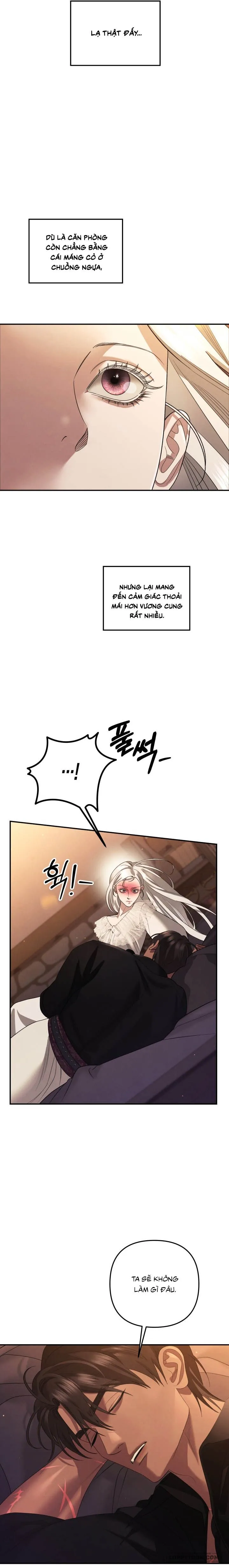 Cuộc Hôn Nhân Bị Cướp Đoạt Chap 89 - 🔞 - trang 11
