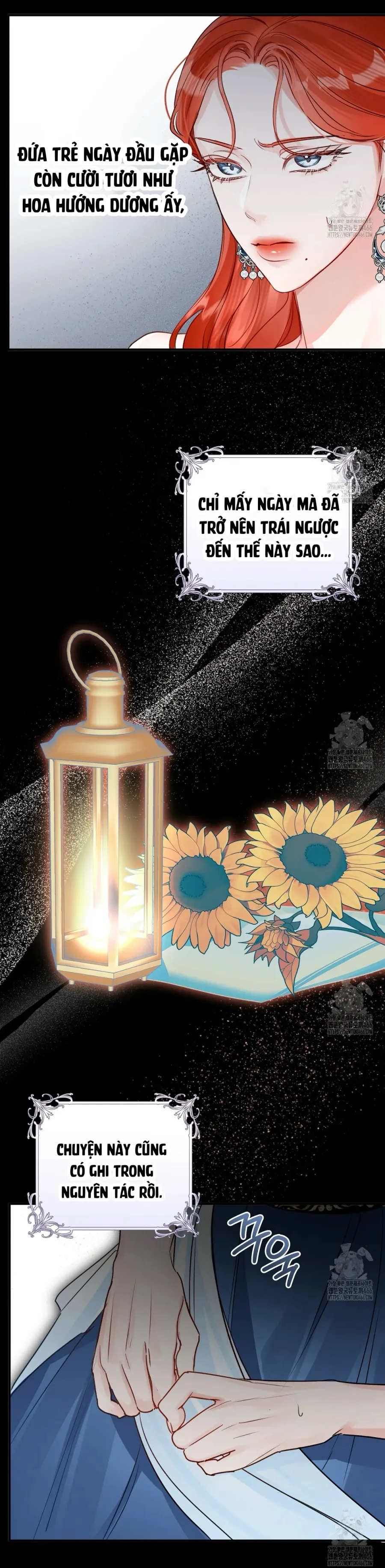 Cuộc Hôn Nhân Xa Hoa Của Đại Công Tước Là Giả Chap 74 - trang 11