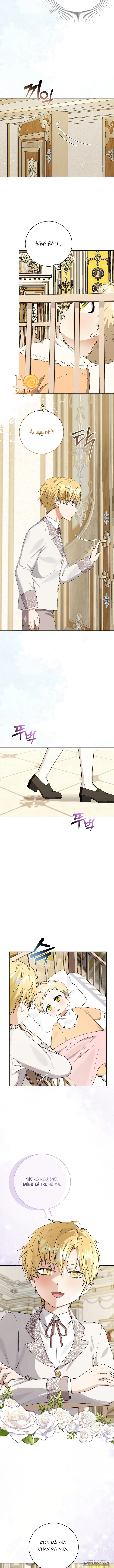 Tôi Đã Mở Một Bệnh Viện Thú Y Bất Hợp Pháp Ở Thế Giới Khác Chap 2 - trang 8