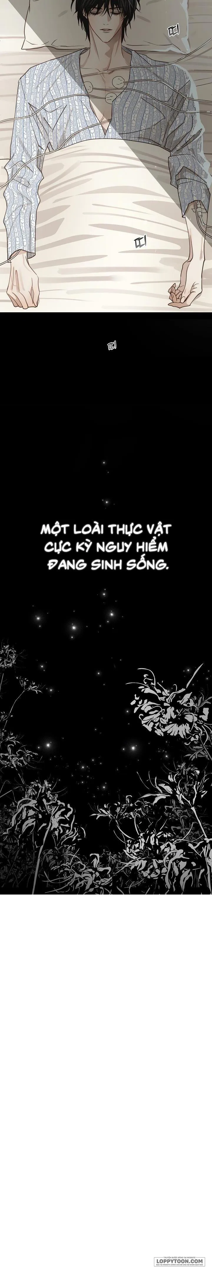 Đóa Hoa Là Mồi Nhử Chap 1 - trang 29