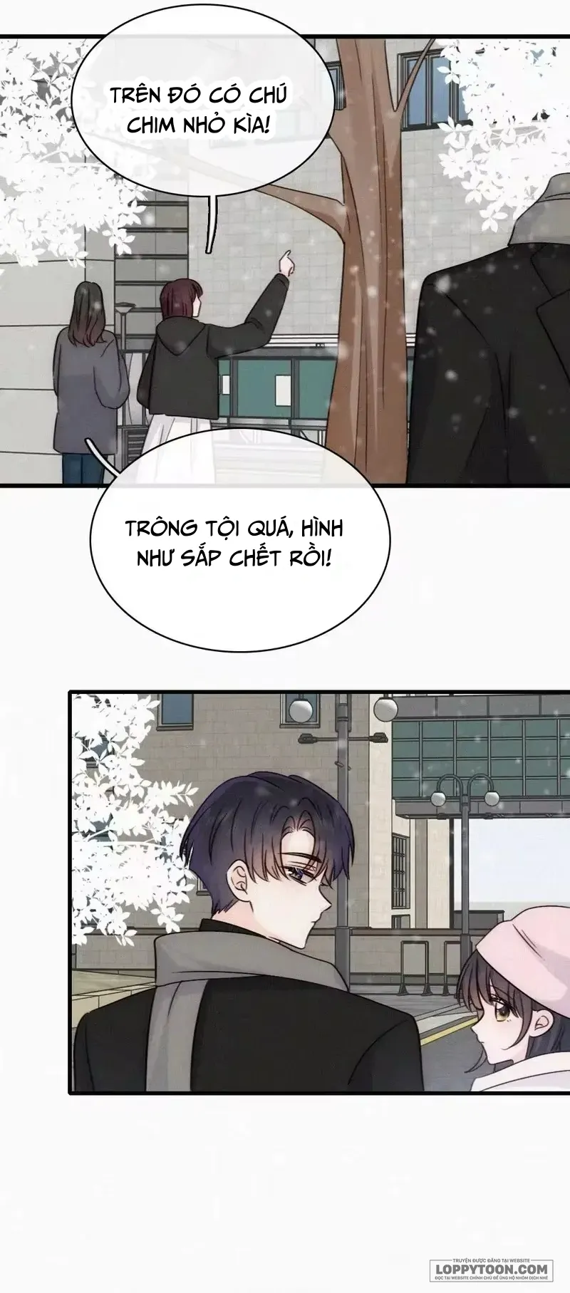 Một Lòng Cưng Chiều Chap 190 - trang 13