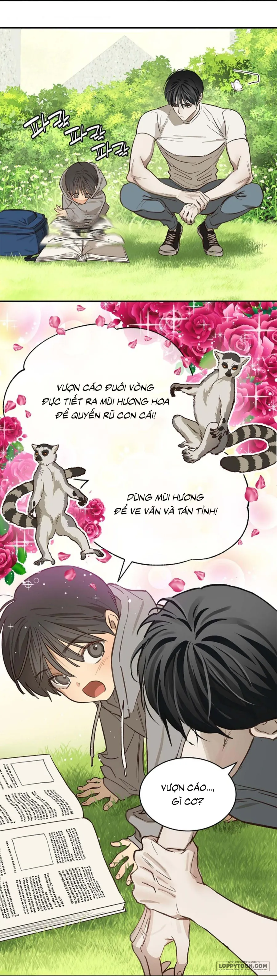 Đóa Hoa Là Mồi Nhử Chap 25 - trang 5