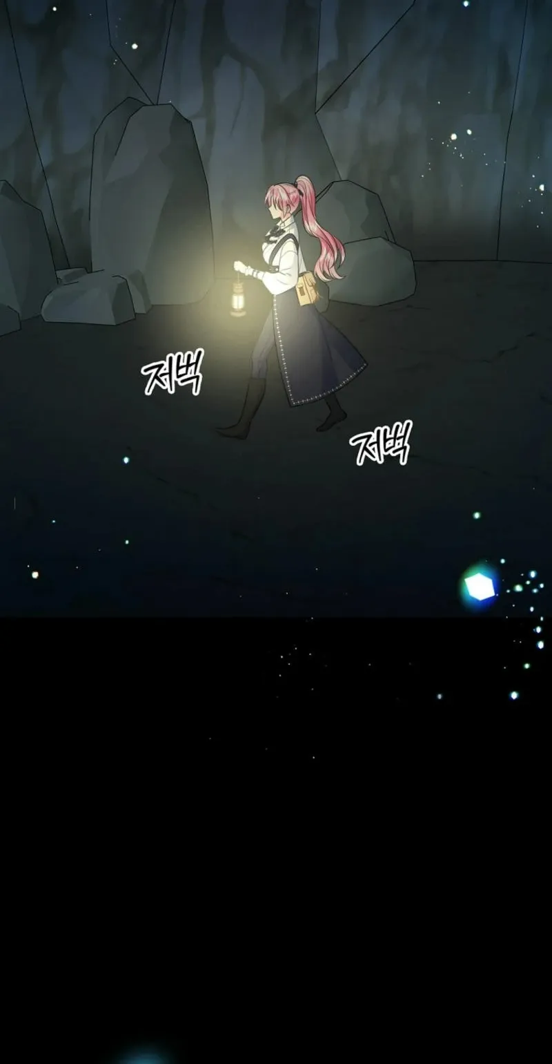 Tôi Sẽ Ly Hôn Với Anh Trai Nữ Chính Chap 74 - trang 18