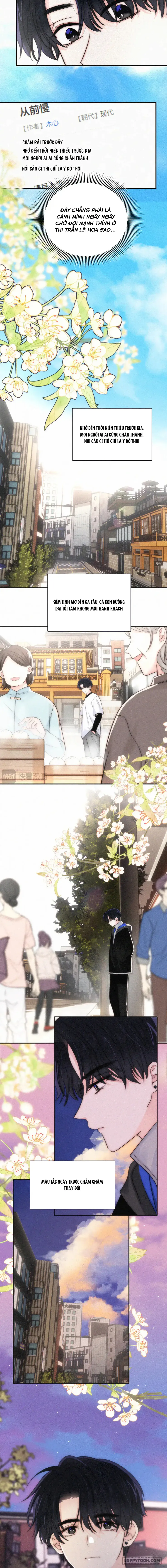 Một Lòng Cưng Chiều Chap 81 - trang 6