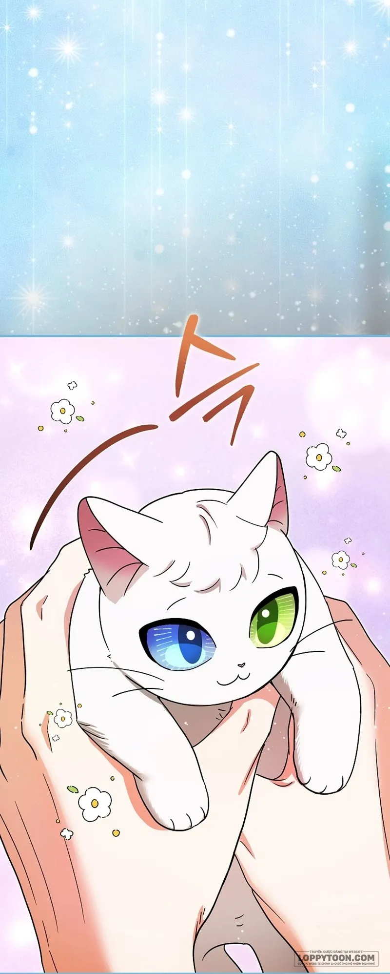 Trở Thành Miêu Nữ Của Hoàng Đế Chap 82 - trang 9