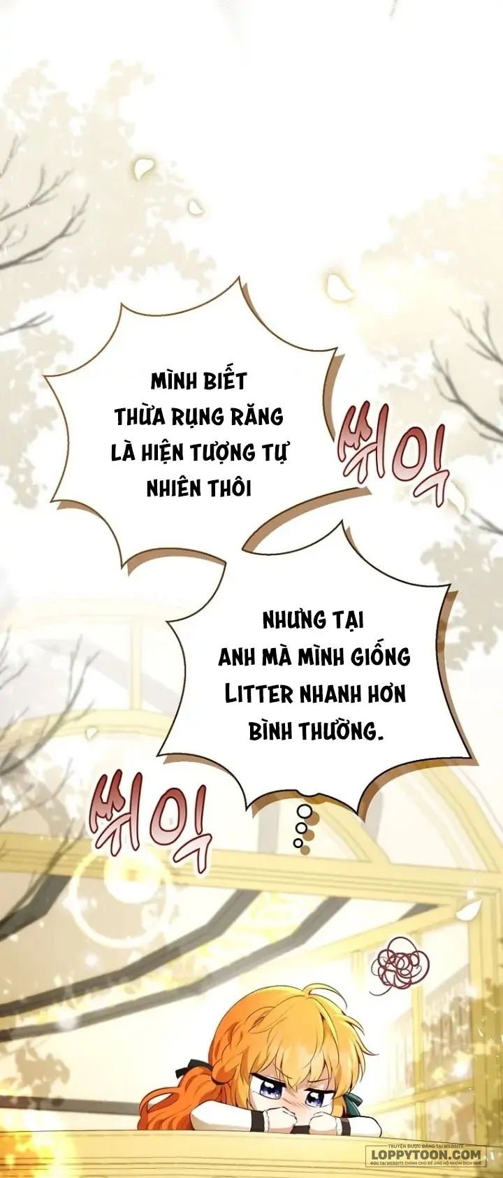Sóc Con Tài Năng Chap 53 - trang 4