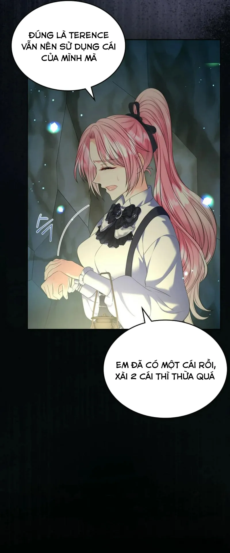 Tôi Sẽ Ly Hôn Với Anh Trai Nữ Chính Chap 74 - trang 10