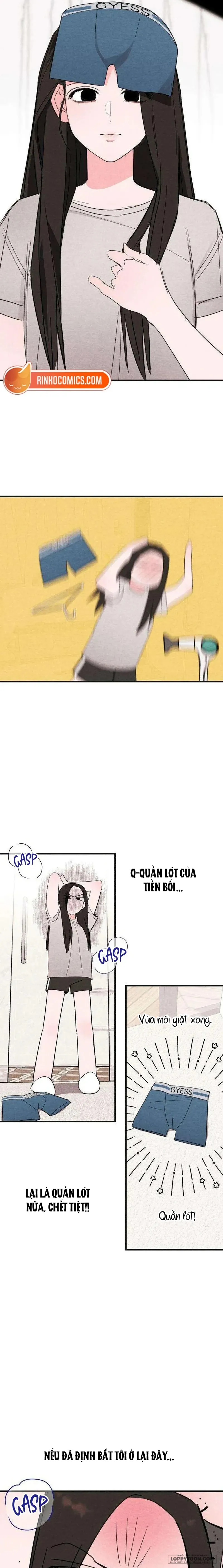 Bộ Mặt Che Giấu Của Tiền Bối Hoàn Hảo Chap 8 - Tiền bối bị lộ sạch sành sanh - trang 5