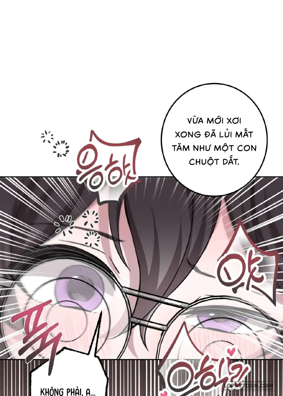 Quả Nhiên Vị Giám Đốc Điều Hành Đó… Chap 11 - trang 31