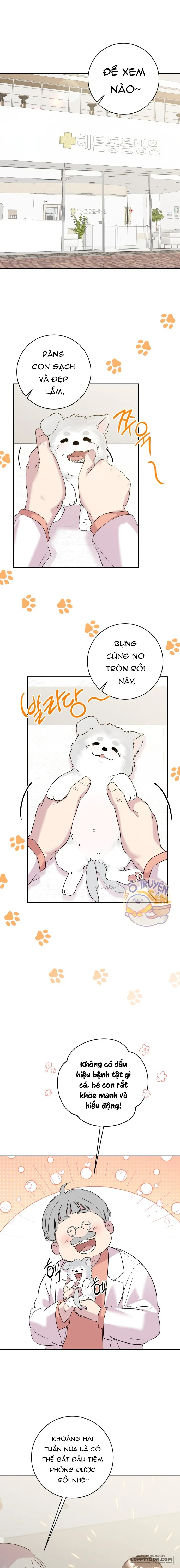 Tình Yêu Bắt Đầu Từ Việc Nuôi Dạy Con Cái Chap 18 - trang 1