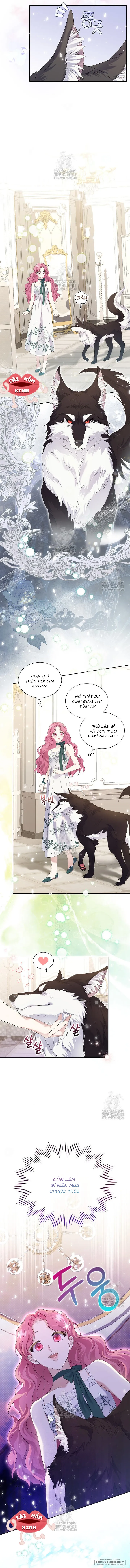 Khi Bị Nam Chính Dịu Dàng Nhưng Cố Chấp Ám Ảnh Chap 3 - trang 8