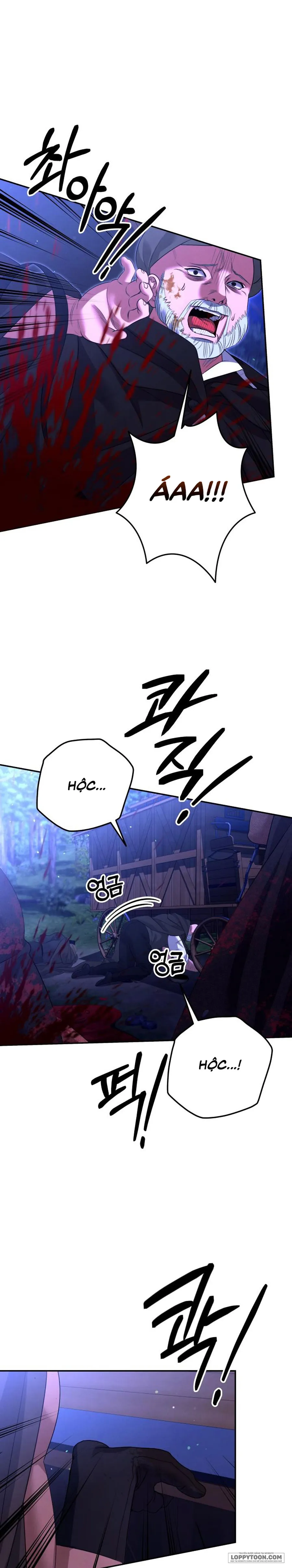 Cuộc Hôn Nhân Bị Cướp Đoạt Chap 30 - trang 15