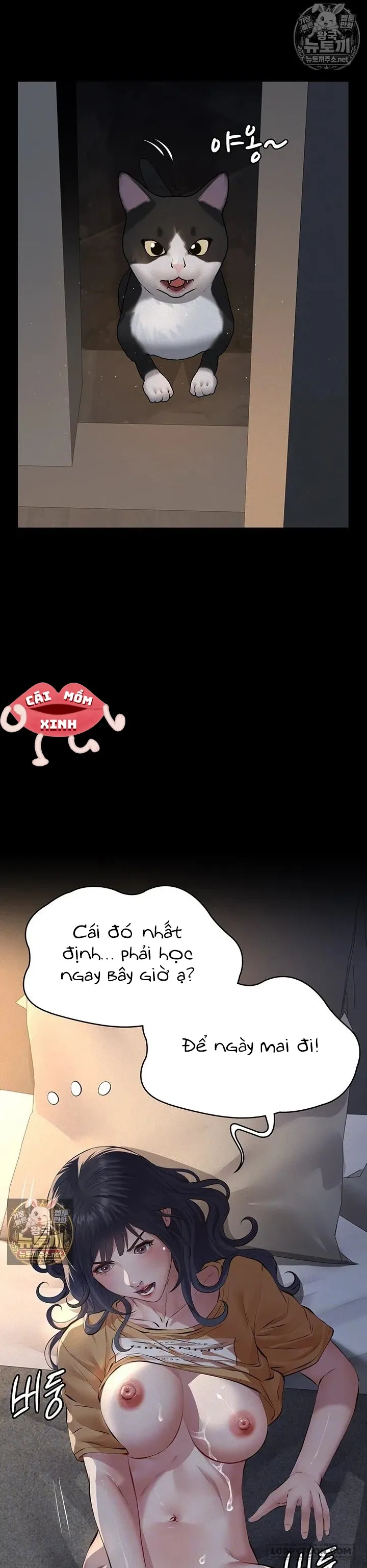 Cuộc Săn "Daddy" Chap 22 - trang 11