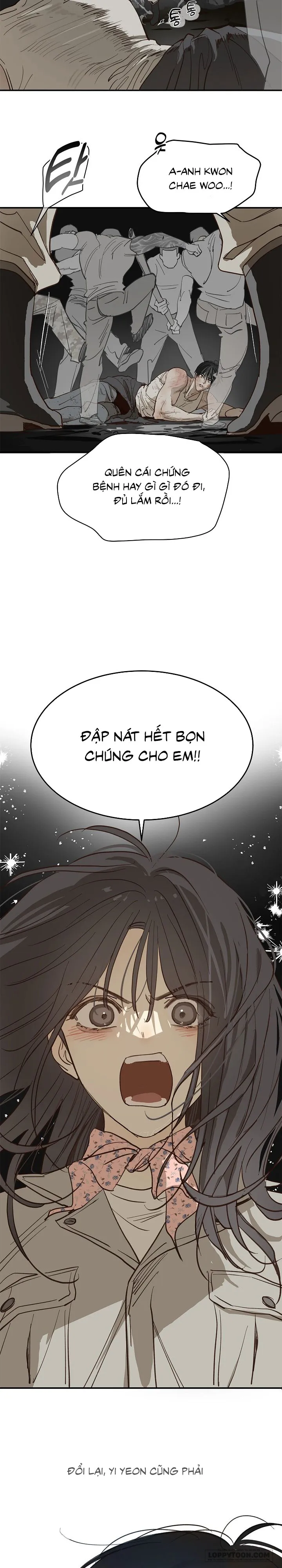 Đóa Hoa Là Mồi Nhử Chap 41 - trang 20