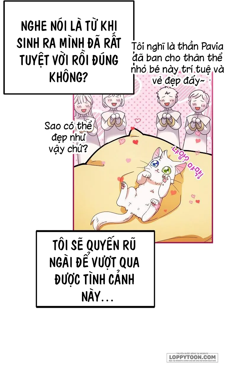 Trở Thành Miêu Nữ Của Hoàng Đế Chap 1 - trang 20